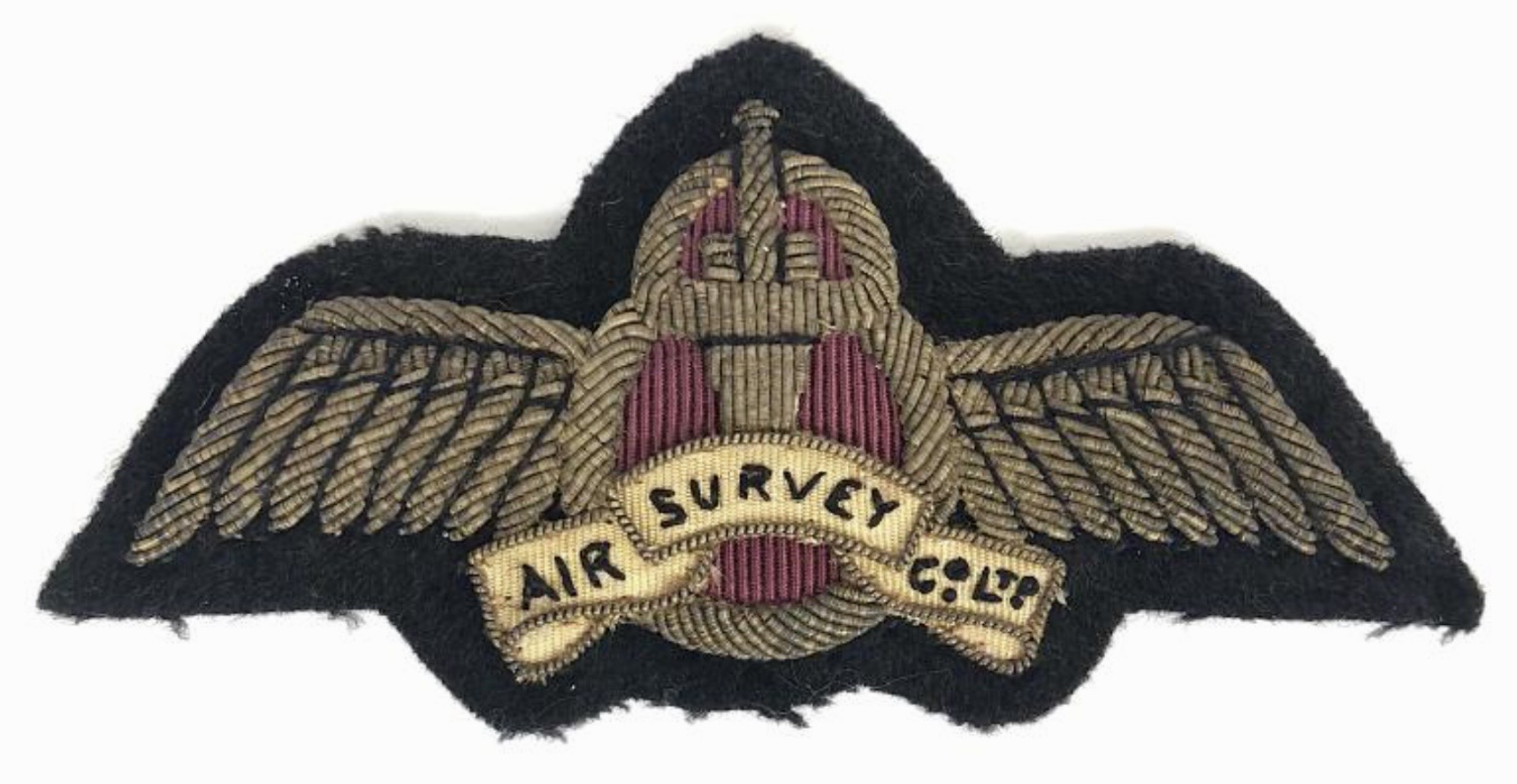 Air Survey Company Pilot