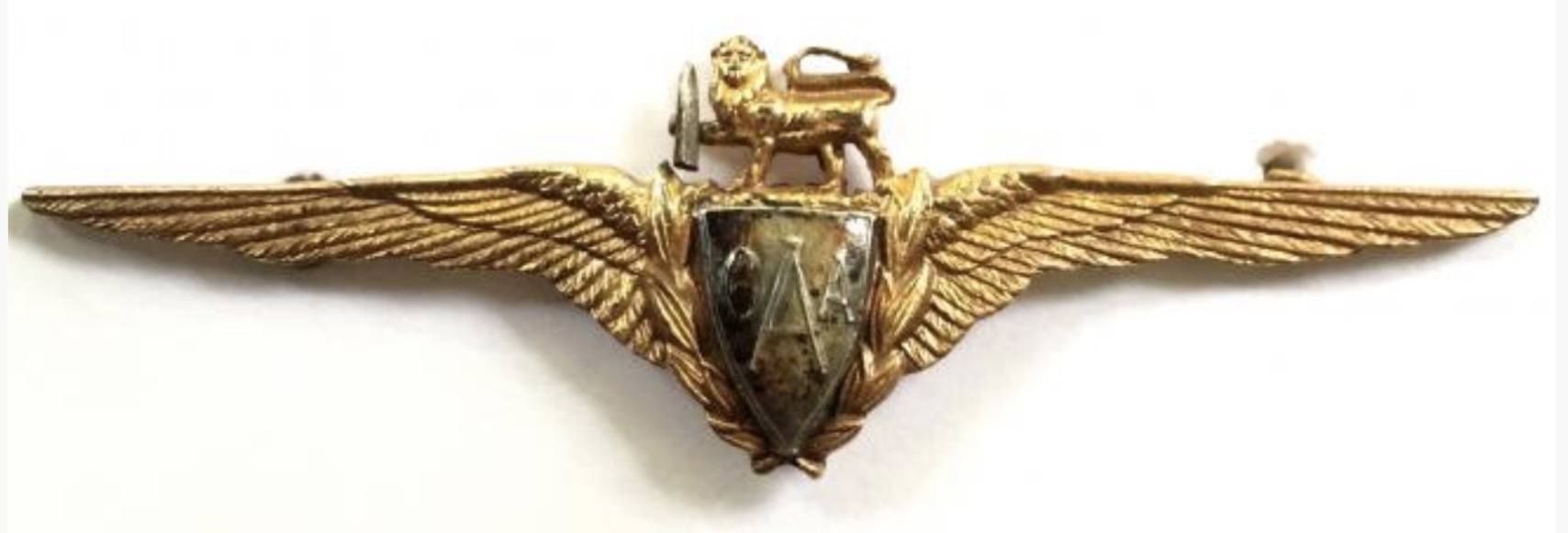 Central African Airways (CAA) Pilot