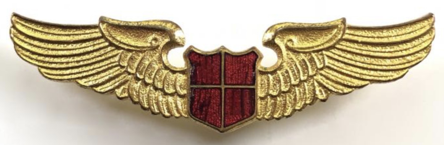 Central Air Services Pilot