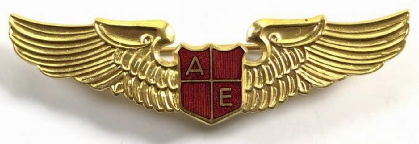 Air Envoy (AE) Pilot