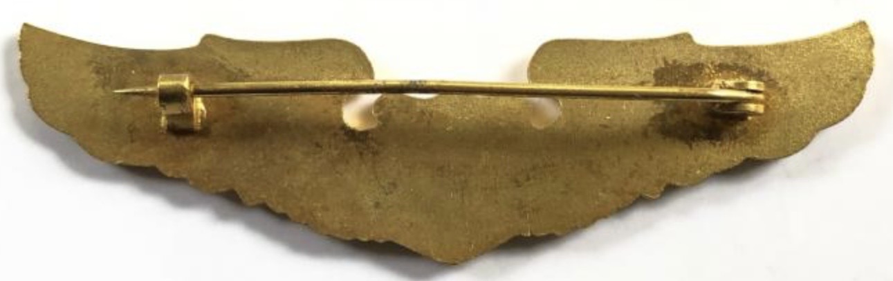 Image of Air Envoy (AE) Pilot wing