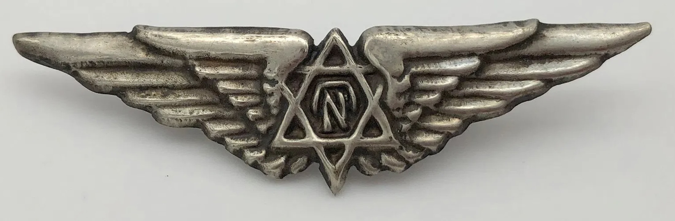 Aviron Aviation Company Pilot