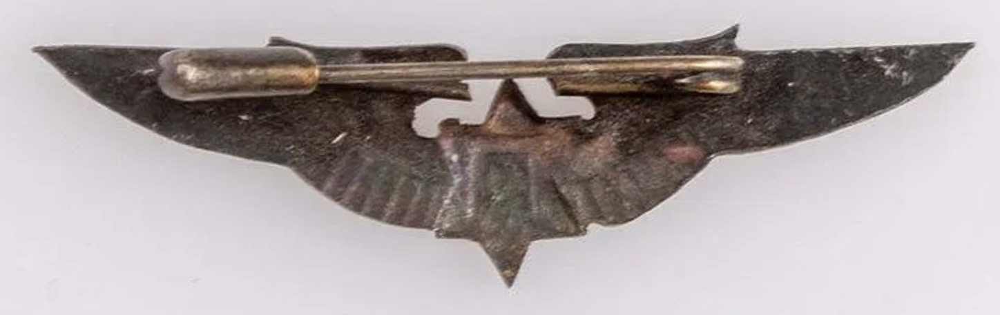 Image of Air Force Pilot wing