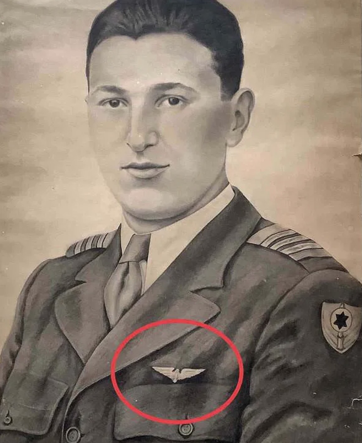 Image of Air Force Pilot wing