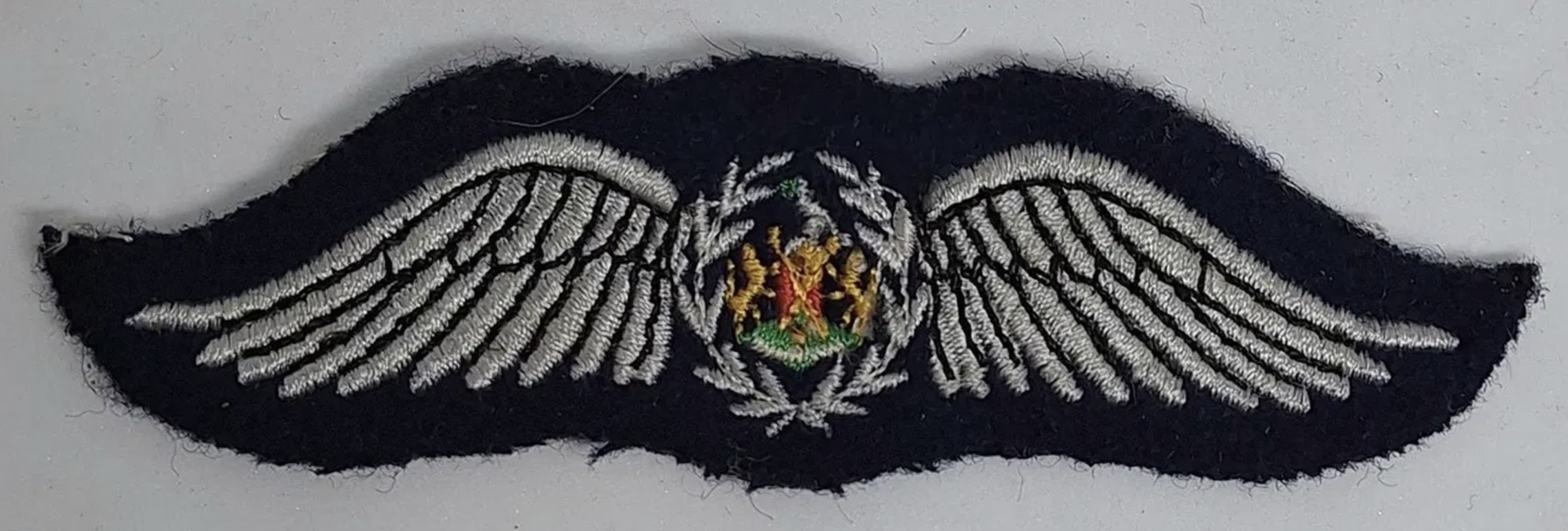 Ciskei Defense Force Pilot