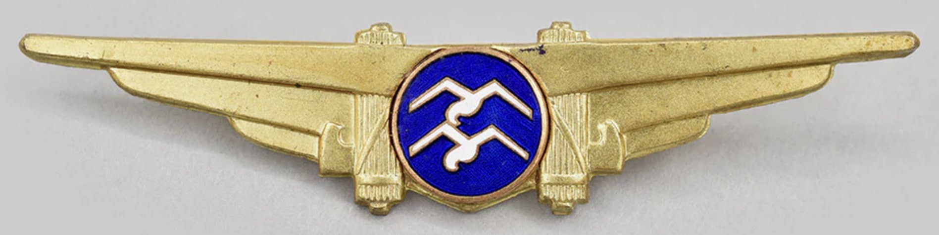 Italy Air Force Glider 2nd Class (Secondo Classa) Pilot