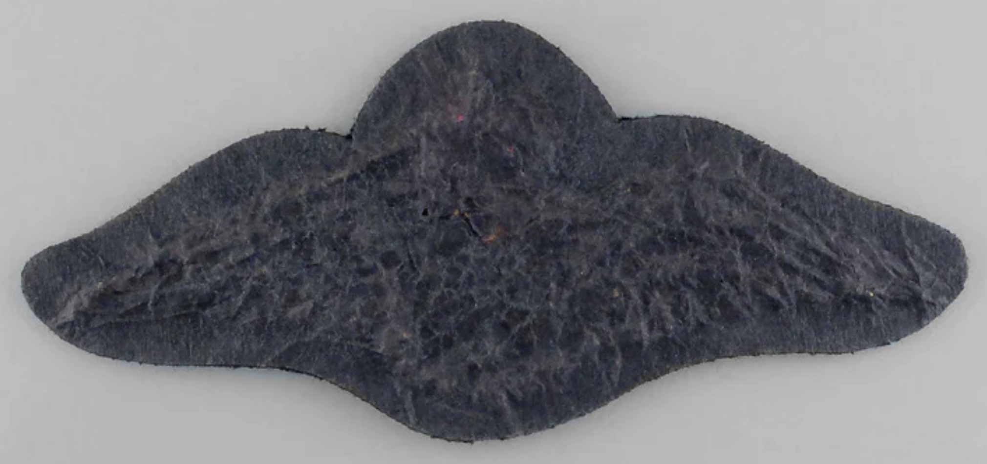 Image of Army Pilot wing