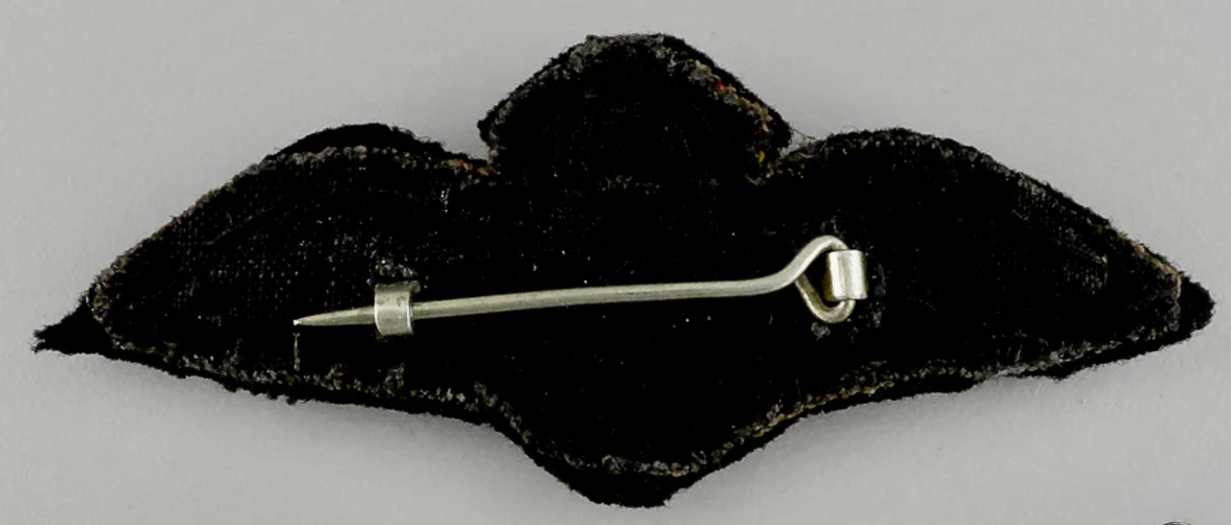 Image of Royal Canadian Navy Fleet Air Arm Pilot wing