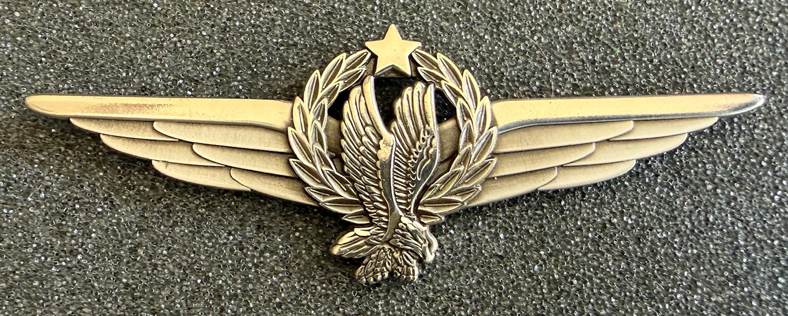 Image of American Airlines (AA) Instructor - Check Captain wing