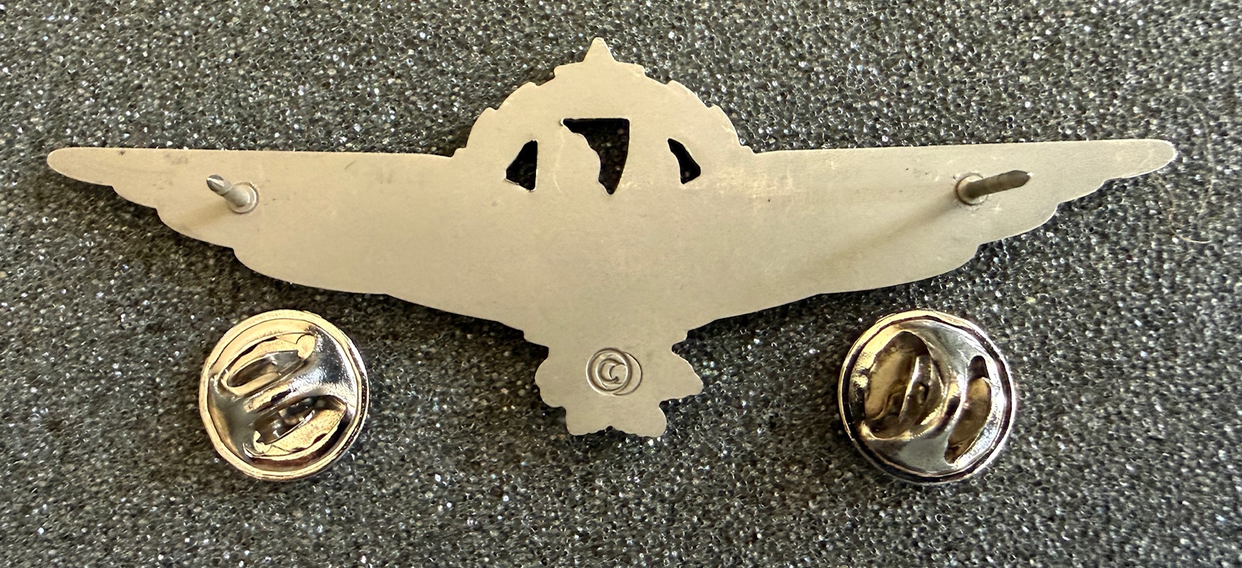 Image of American Airlines (AA) Instructor - Check Captain wing