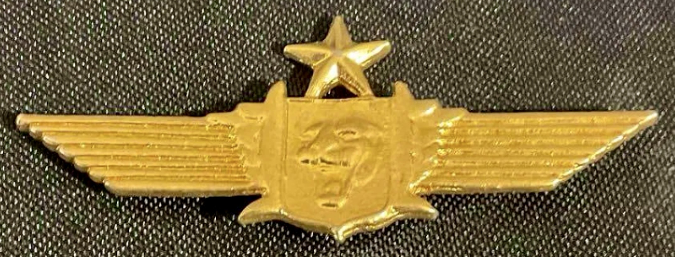 Image of Air Force Pilot wing