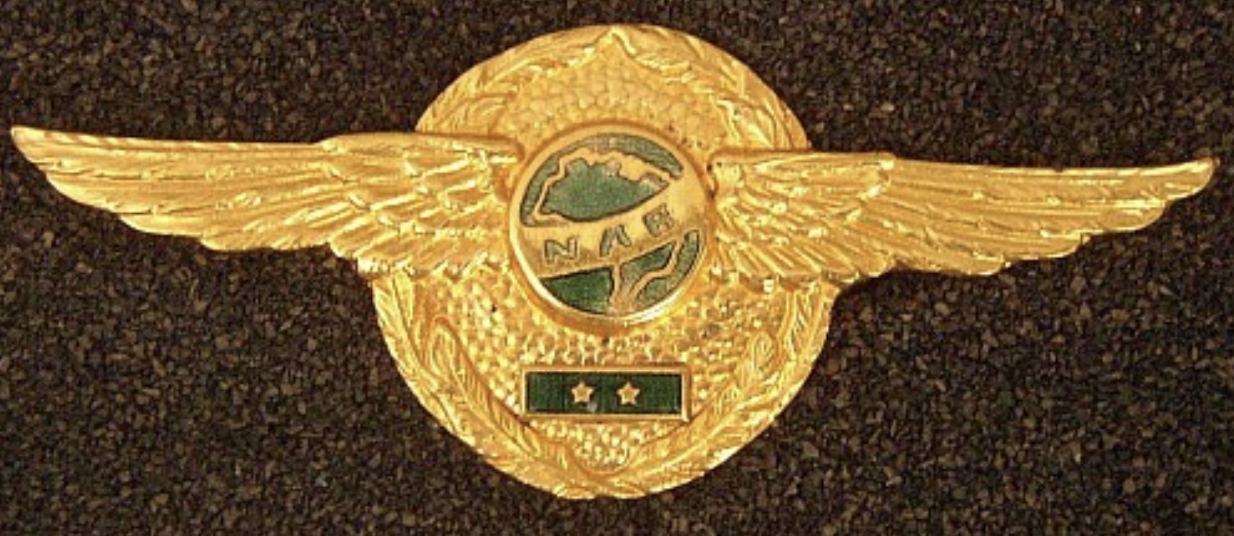 Navegacao Aerea Brasileira (NAB) Pilot