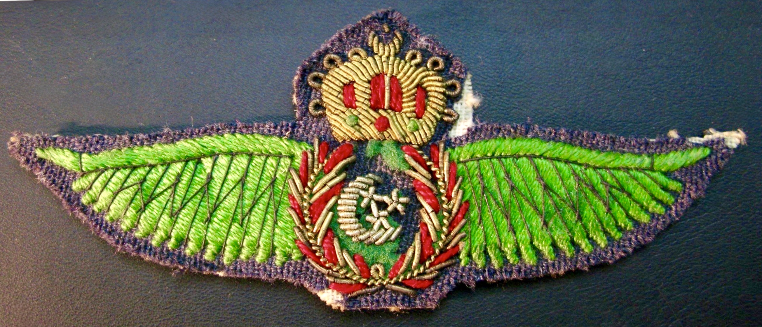 Egypt Air Force Pilot