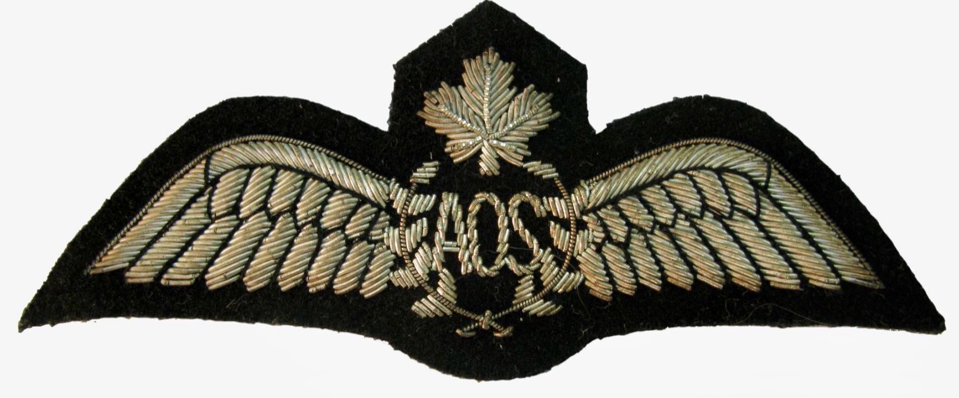 Air Observer Schools (AOS) Instructor Pilot