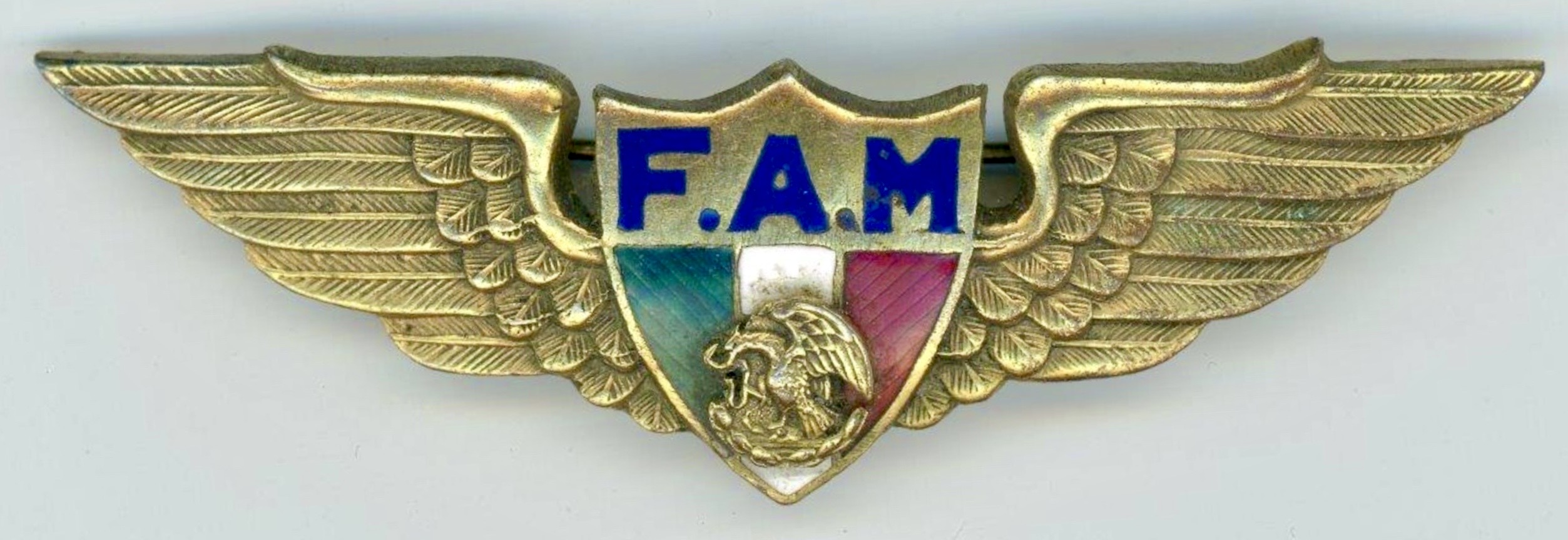 Mexico Air Force (FAM)  Pilot