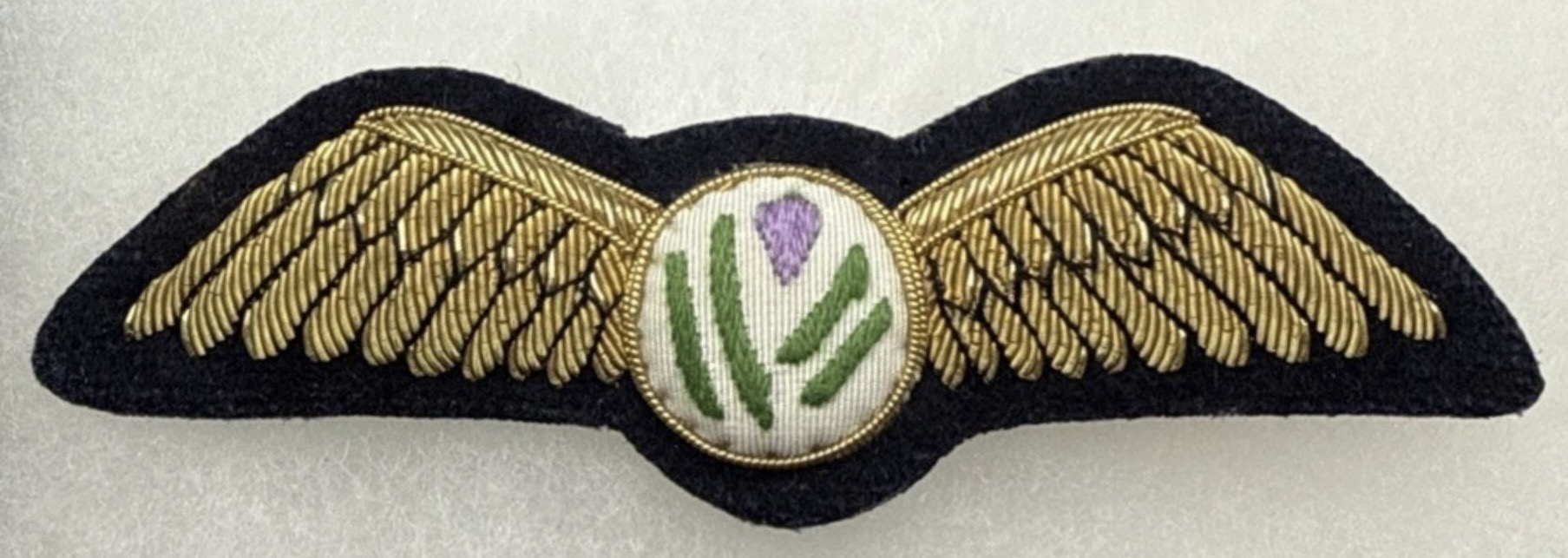 Chieftain Airways Pilot