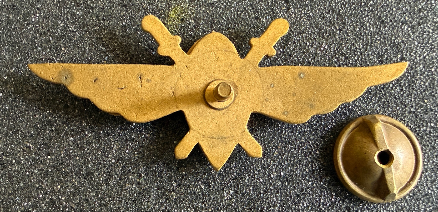 Image of Air Force Student Pilot wing