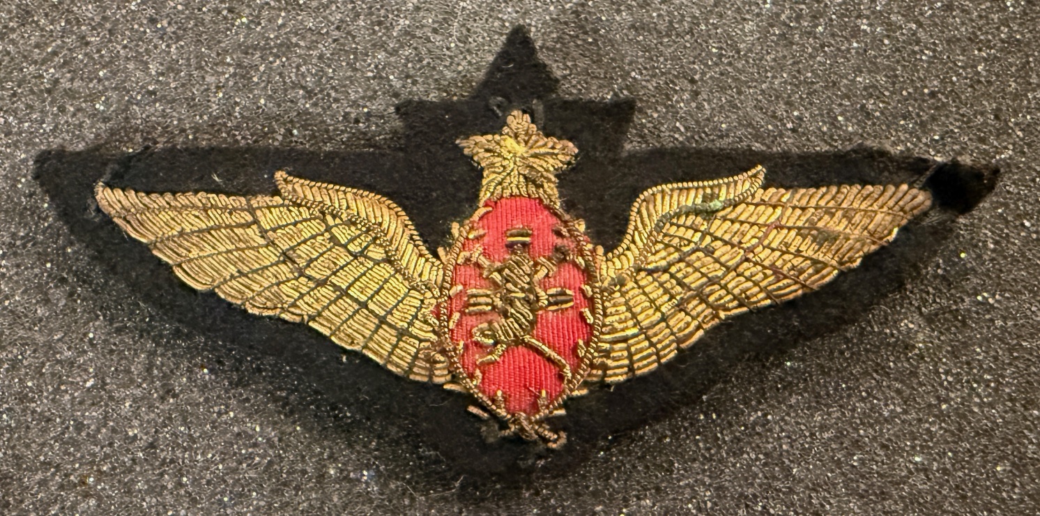 Oman Royal Flight Pilot