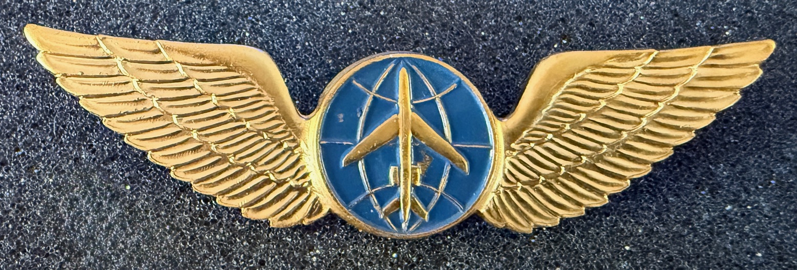 Pulkovo Aviation Enterprise Pilot