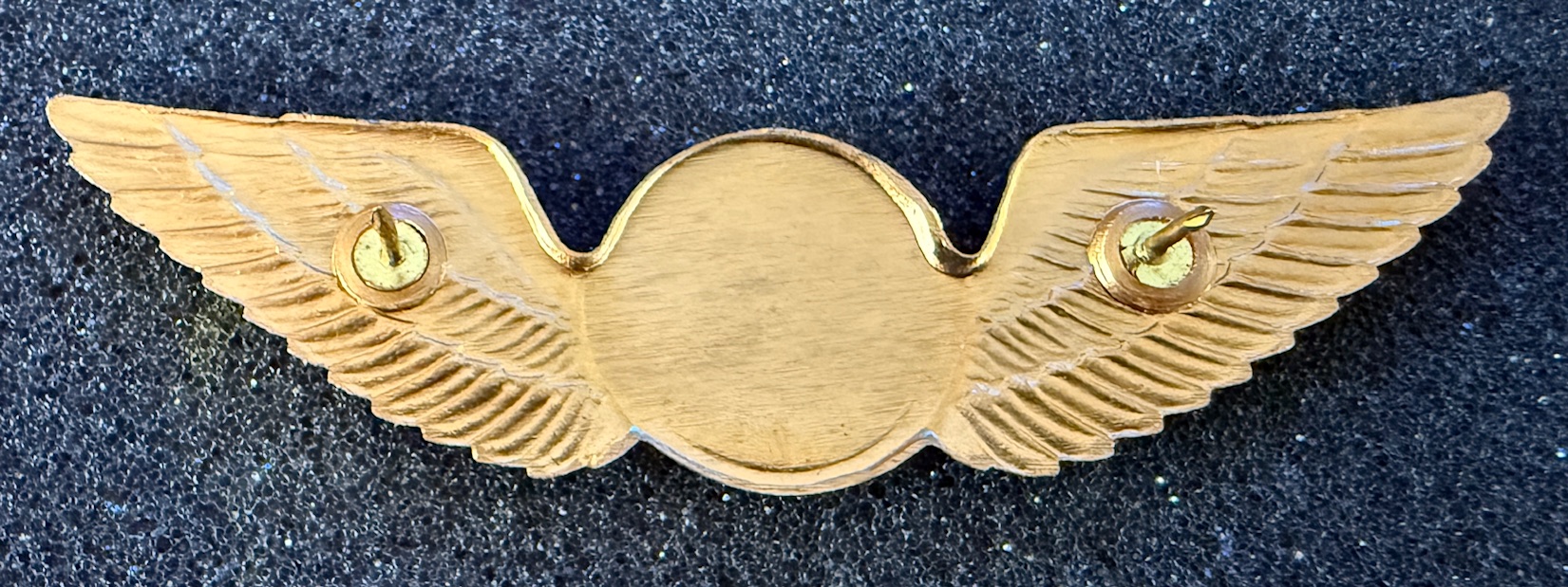 Image of Pulkovo Aviation Enterprise Pilot wing