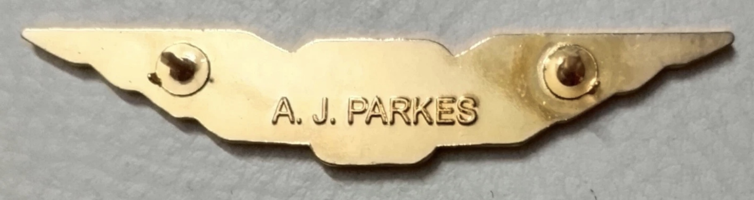 Image of Forrest Air Pilot wing