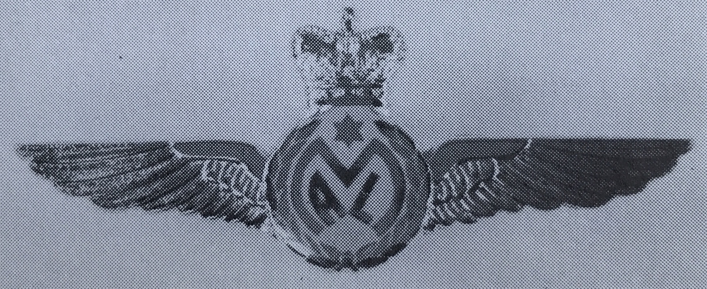 Image of Mandated Airlines (MAL) Pilot wing