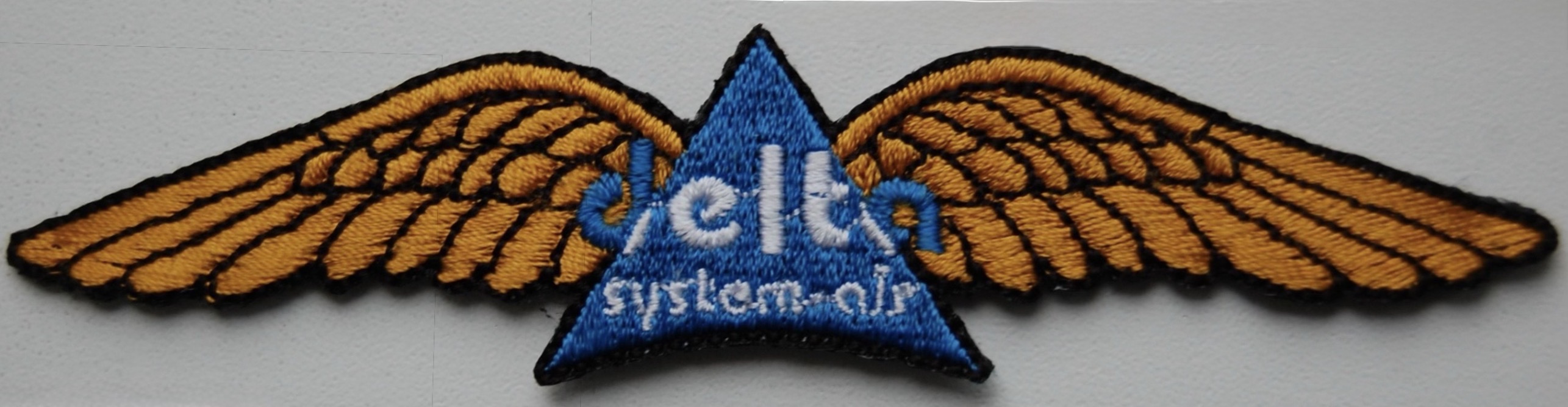 Delta Air System Pilot