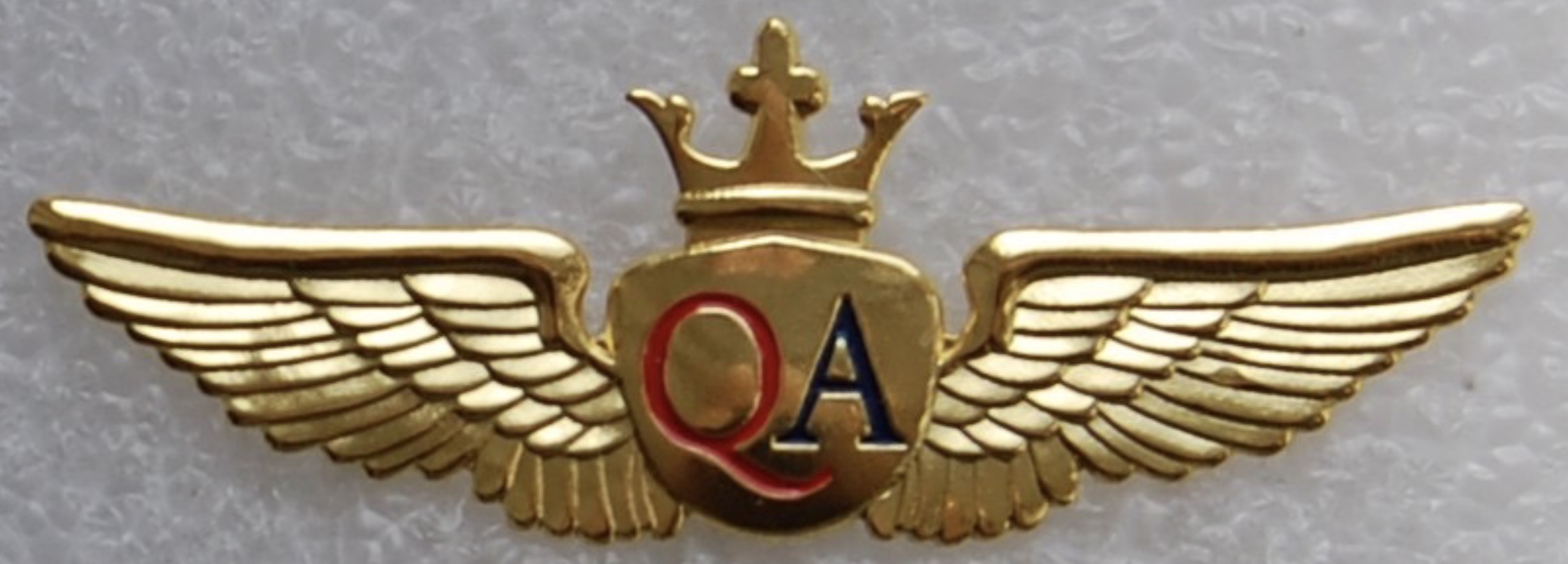 Queen Air (QA) Pilot
