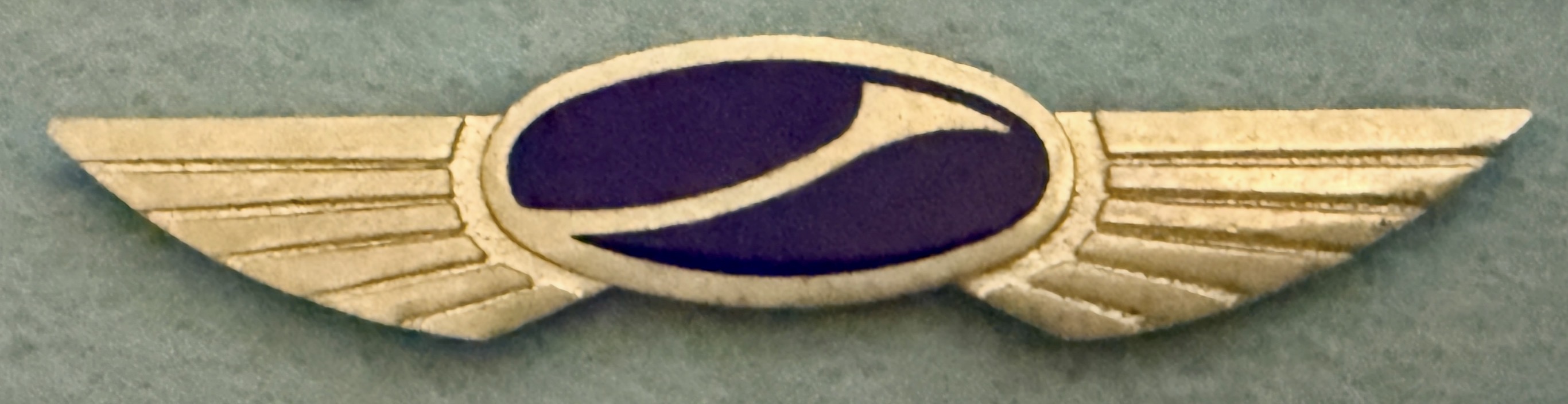 National Jet Express Pilot