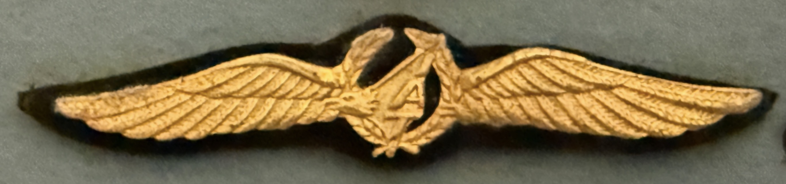 p.t. Indonesia Air Transport Pilot