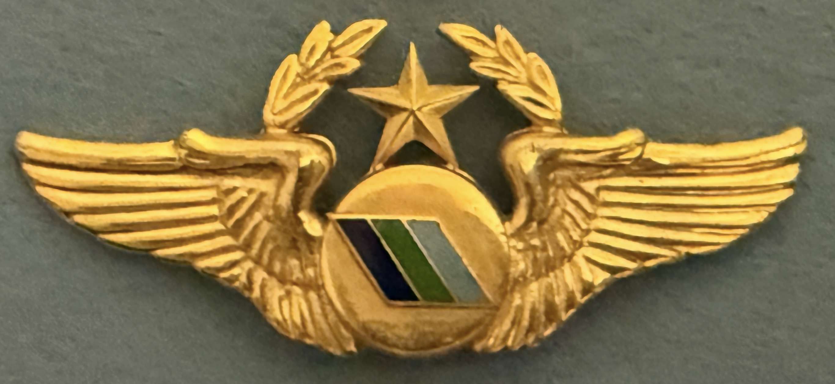 Fast Air Cargo Chief Pilot