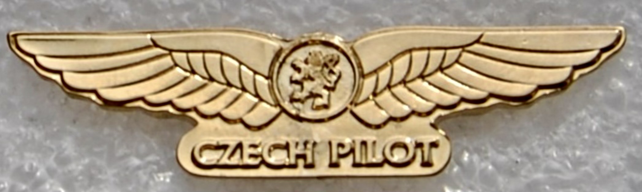 Image of Czech Civil Pilot wing