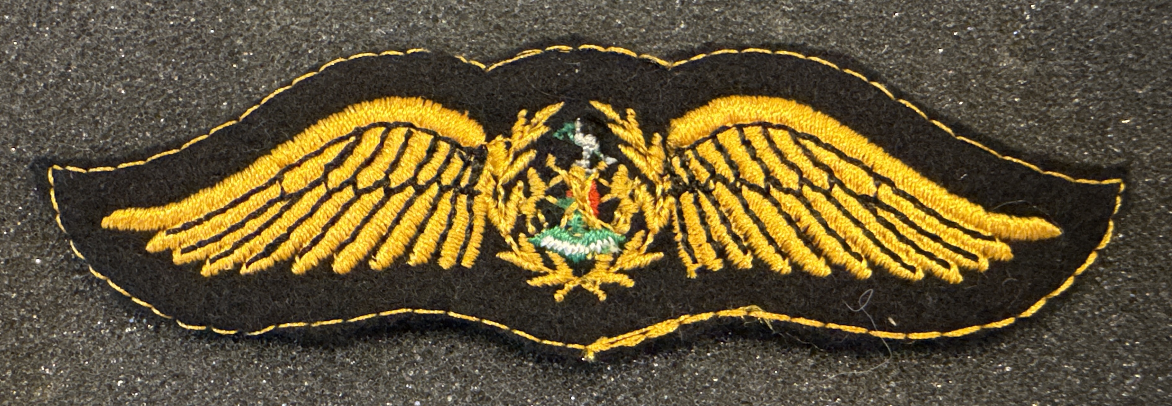 Ciskei Defense Force Pilot