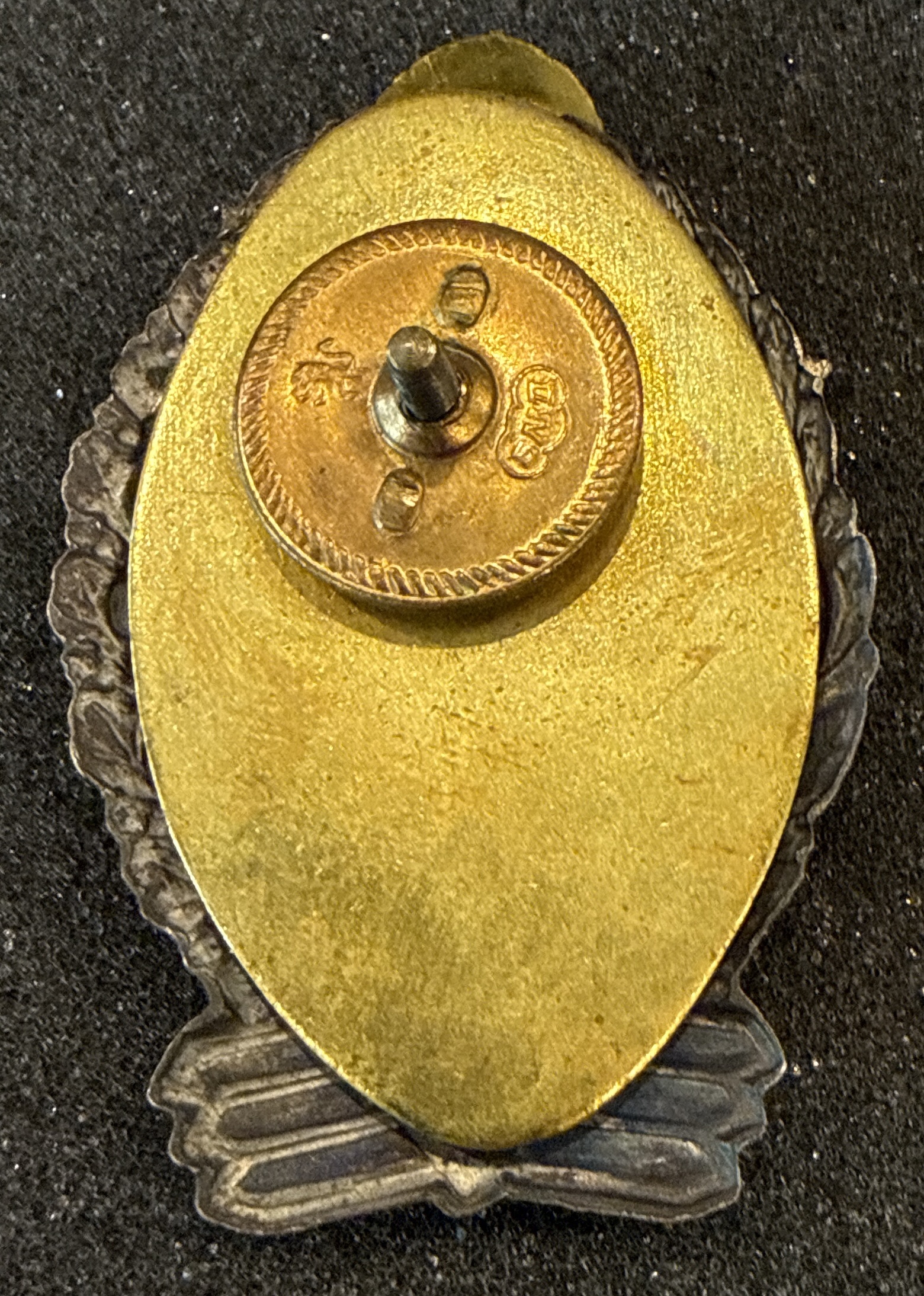 Image of Air Force Master Pilot wing