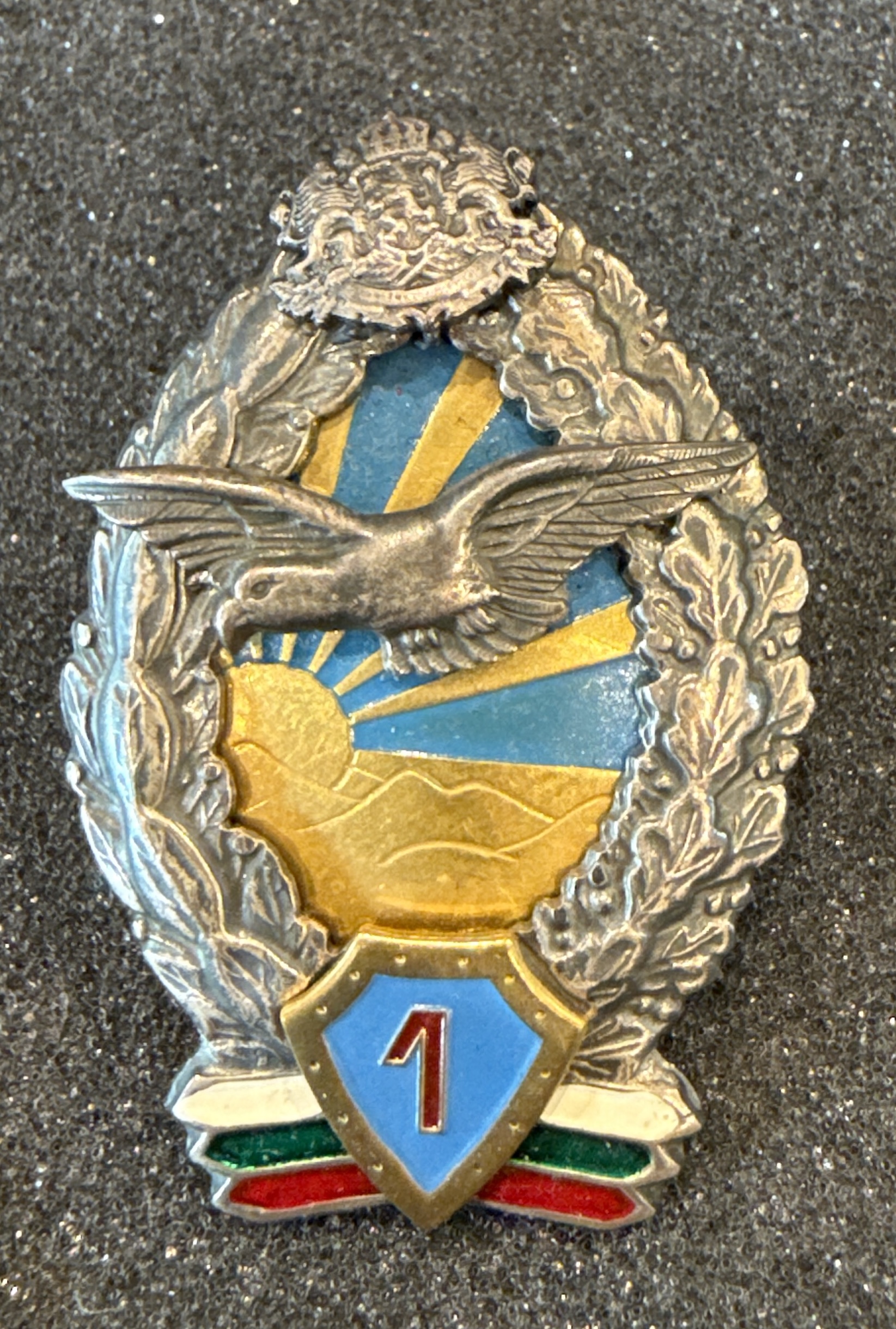 Bulgaria Air Force Pilot Class 1