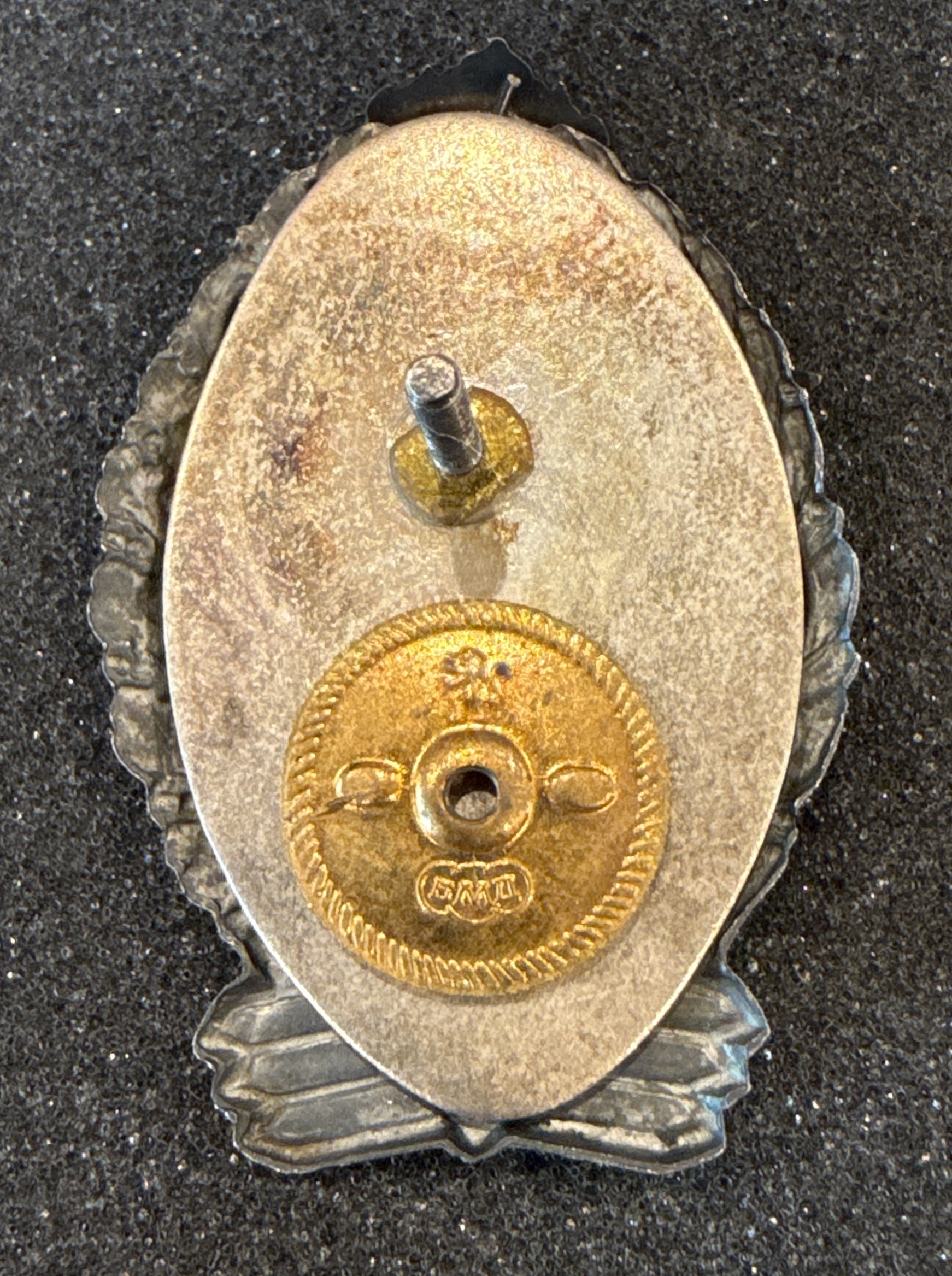 Image of Air Force Pilot Class 1 wing