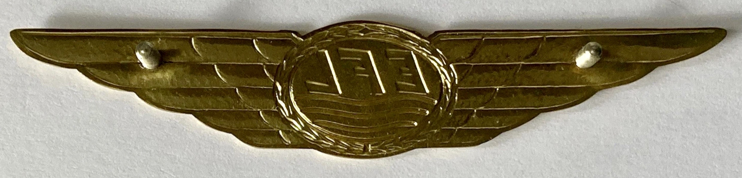 Image of Elbeflug Luftreederei Pilot wing