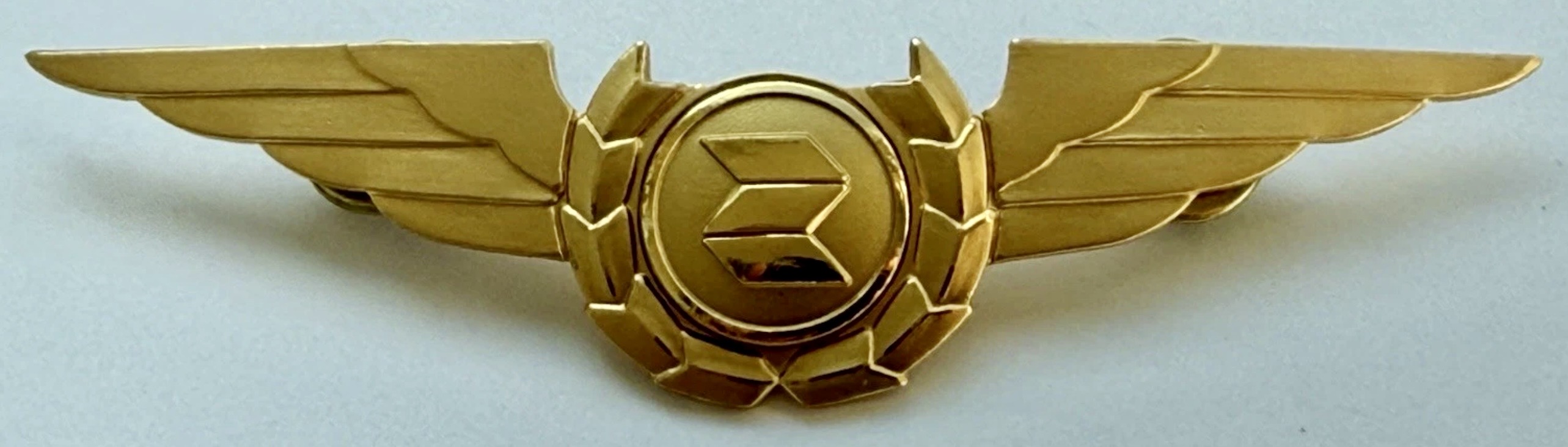 Direktflyg Svenska Direktflyg AB Pilot