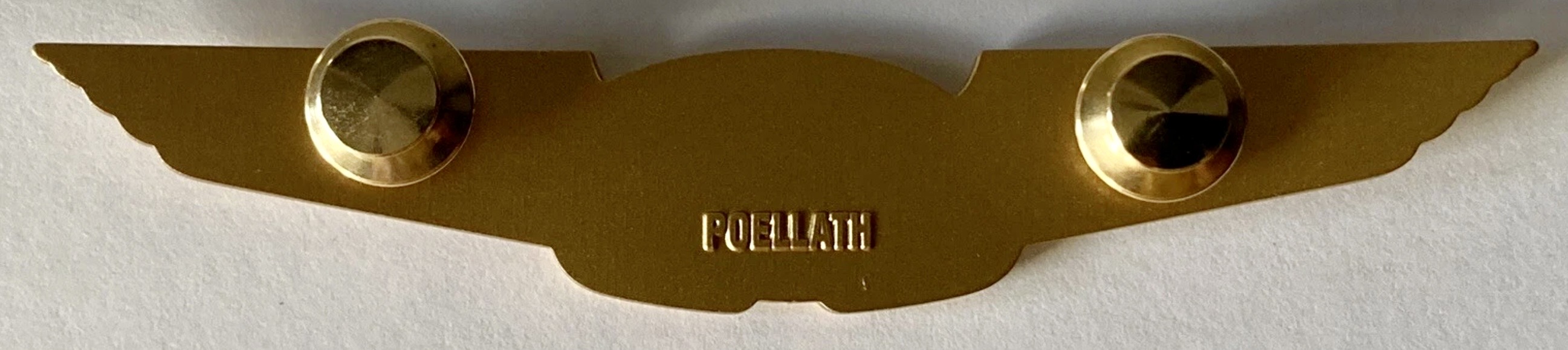 Image of Niki Pilot wing