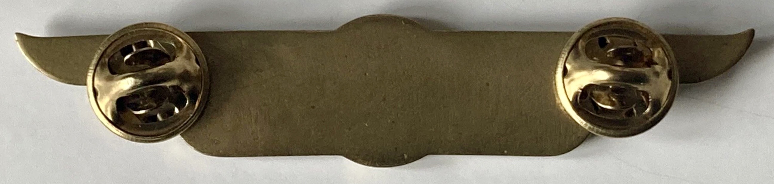 Image of LOT Polish Airlines (Polskie Linie Lotnicze LOT) Pilot wing