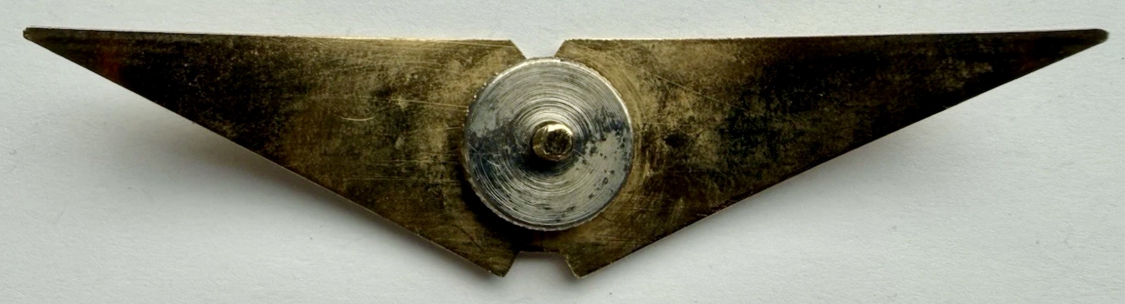 Image of Unknown - MA  wing