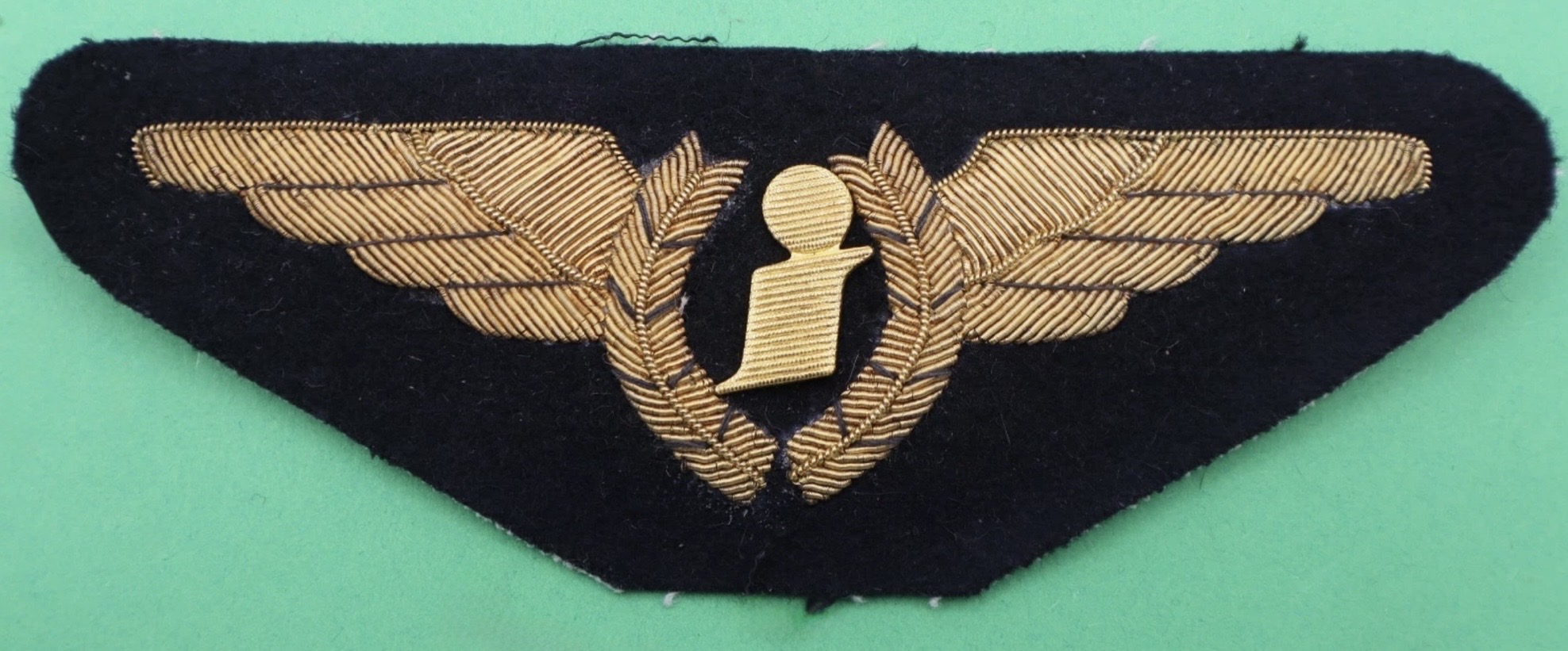 Internord Aviation Pilot