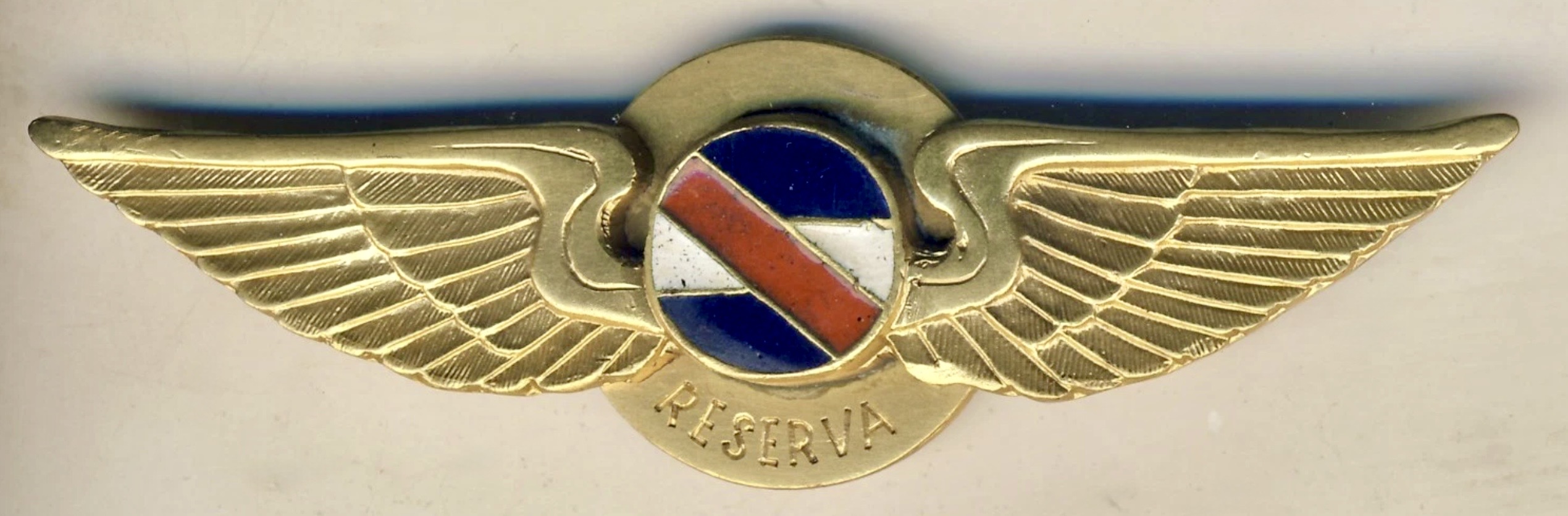 Uruguay Air Force Reserve Pilot (Oficial Piloto de Reserva)