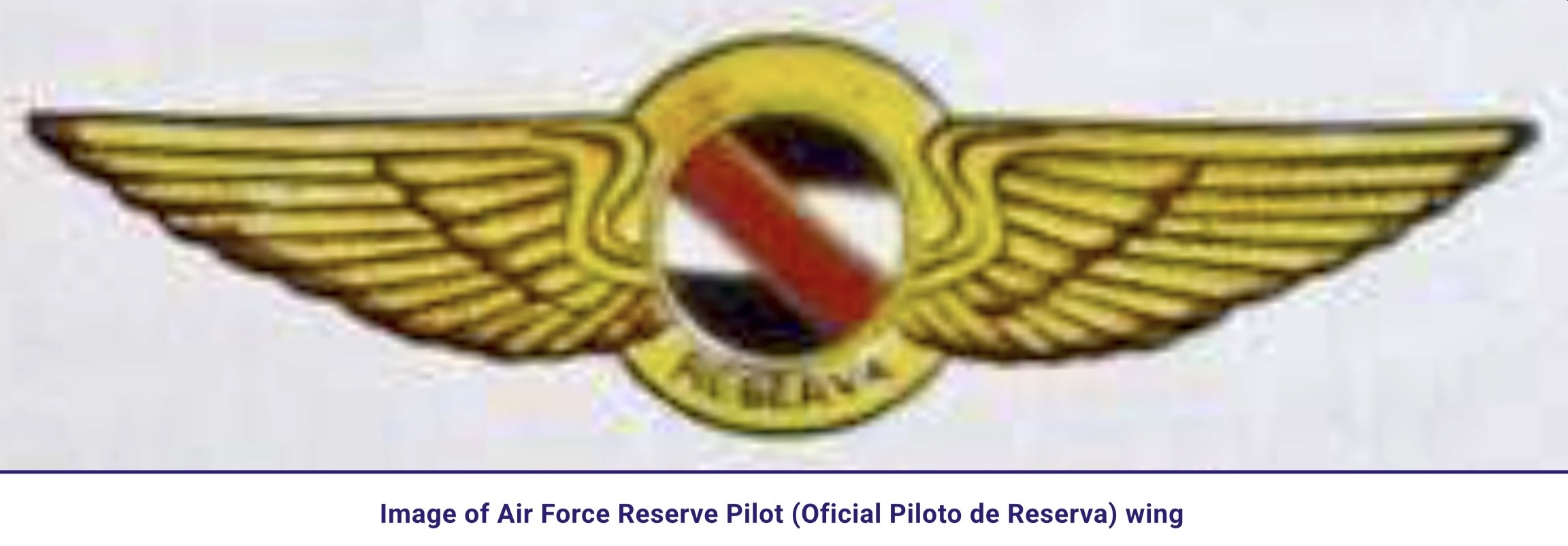 Image of Air Force Reserve Pilot (Oficial Piloto de Reserva) wing