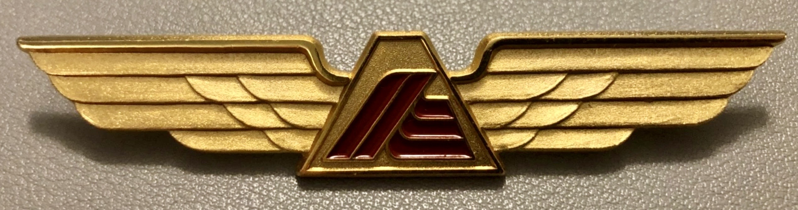 Aeroejecutivos Pilot