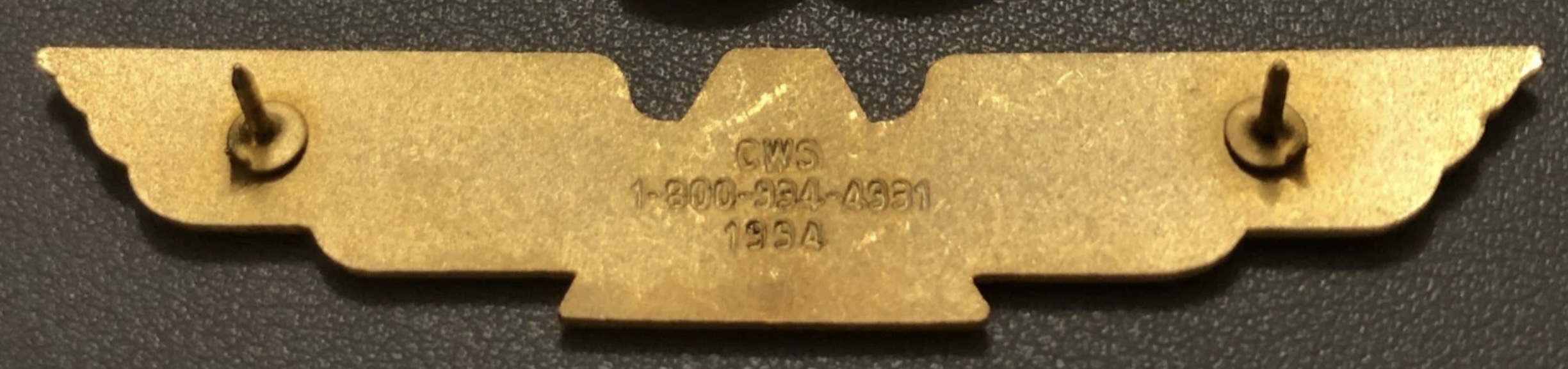 Image of Aeroejecutivos Pilot wing