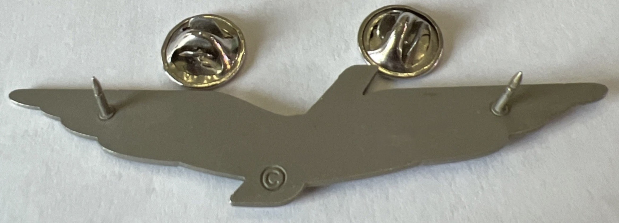 Image of Piedmont Airlines (American Eagle) First Officer wing