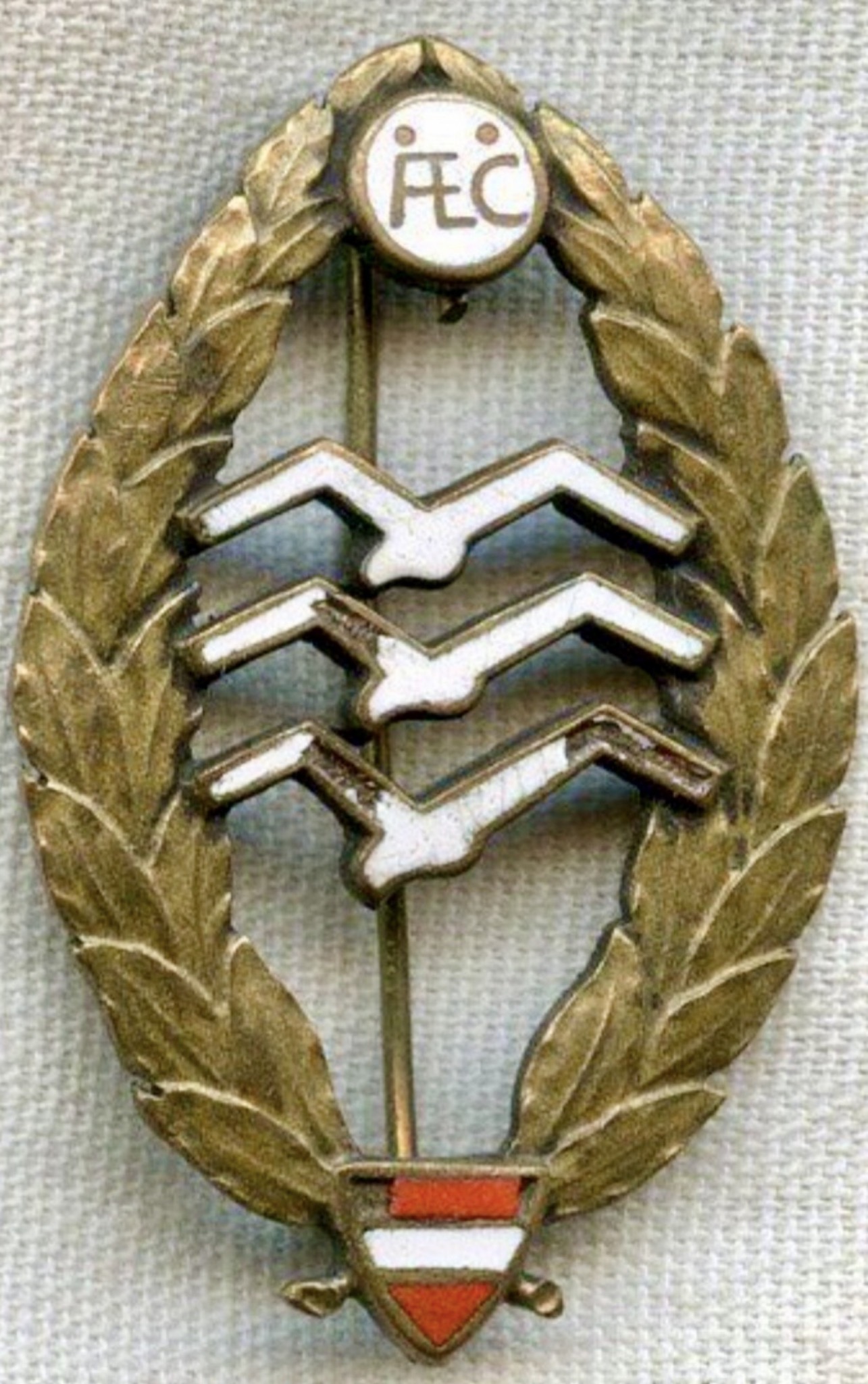 Austria Aero Club Glider Pilot