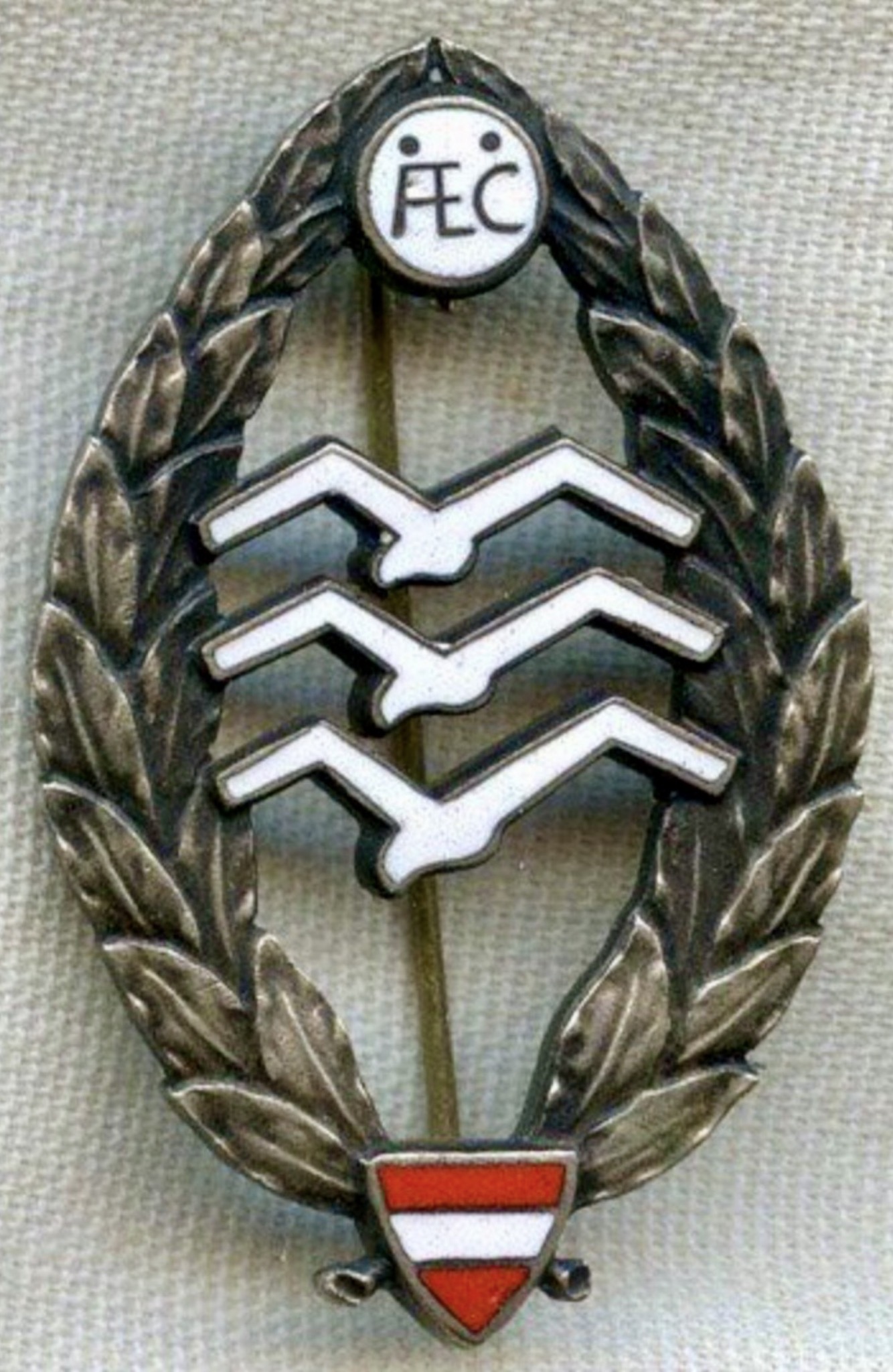 Austria Aero Club Glider Pilot