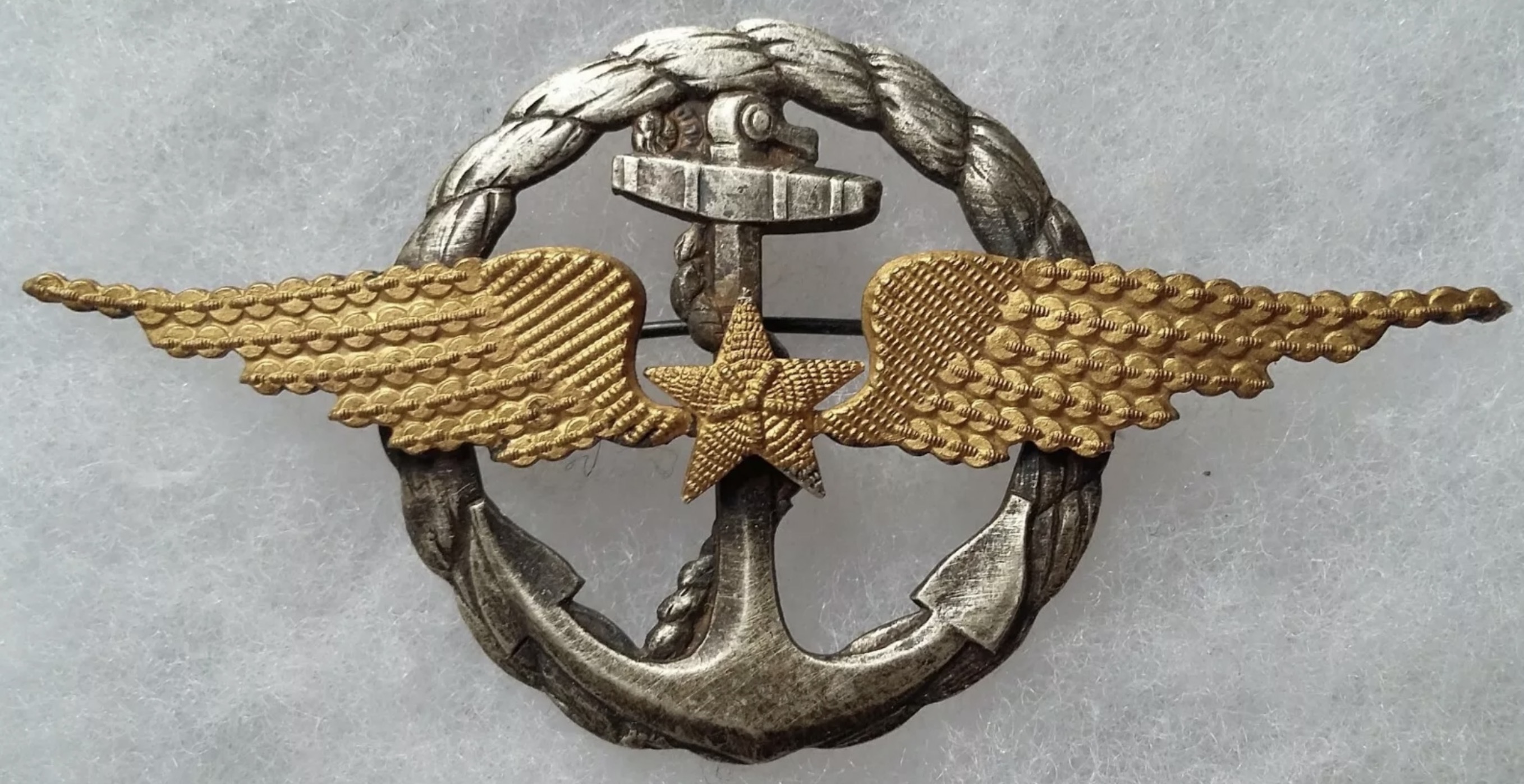 France Navy Pilot (not verified)